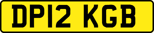 DP12KGB