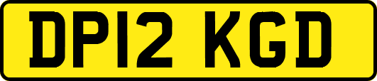 DP12KGD