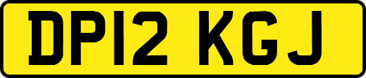 DP12KGJ