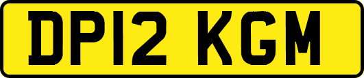 DP12KGM