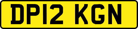 DP12KGN