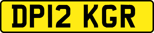 DP12KGR