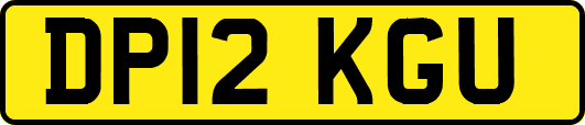 DP12KGU