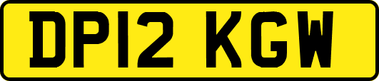 DP12KGW