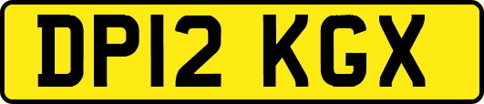 DP12KGX