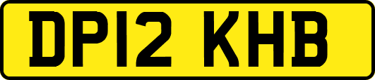 DP12KHB