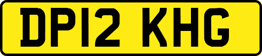 DP12KHG