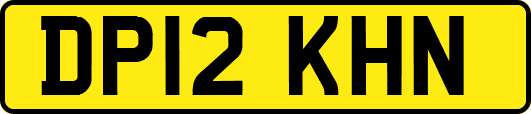 DP12KHN
