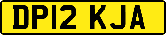 DP12KJA