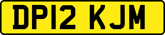 DP12KJM