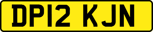 DP12KJN