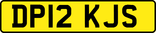DP12KJS