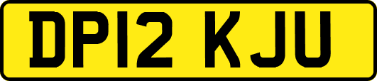 DP12KJU