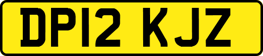 DP12KJZ