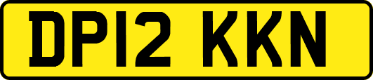 DP12KKN