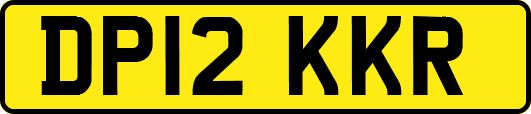 DP12KKR