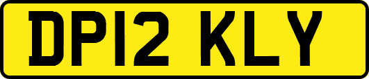 DP12KLY
