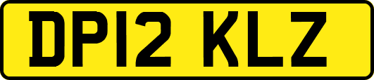 DP12KLZ