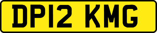 DP12KMG