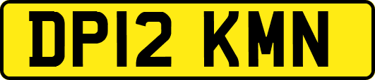 DP12KMN