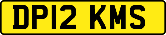 DP12KMS