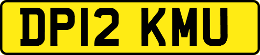 DP12KMU