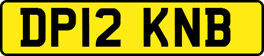DP12KNB