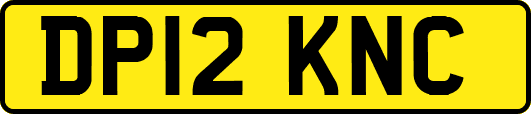 DP12KNC