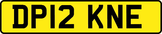DP12KNE