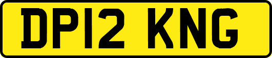 DP12KNG