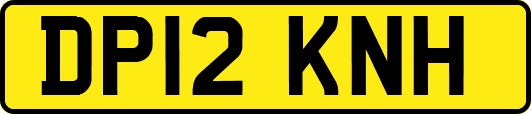 DP12KNH