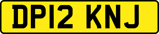 DP12KNJ