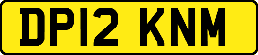 DP12KNM