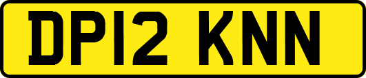 DP12KNN
