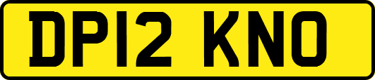 DP12KNO