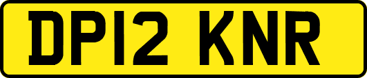 DP12KNR