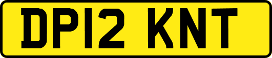 DP12KNT