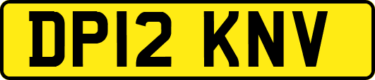 DP12KNV