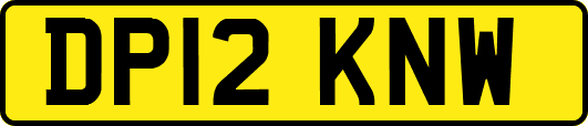 DP12KNW