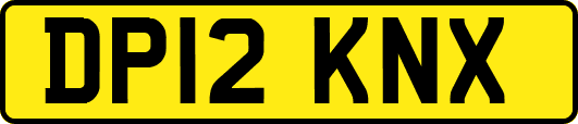 DP12KNX