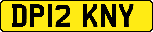 DP12KNY