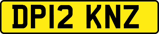 DP12KNZ