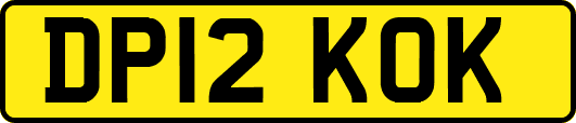 DP12KOK