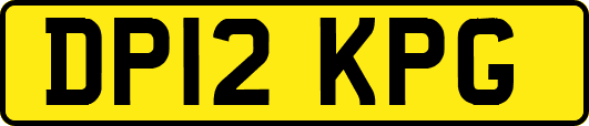 DP12KPG