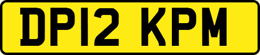 DP12KPM