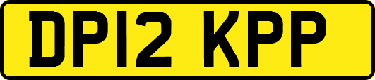 DP12KPP