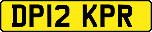 DP12KPR