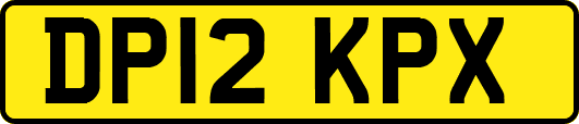 DP12KPX