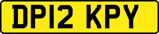 DP12KPY