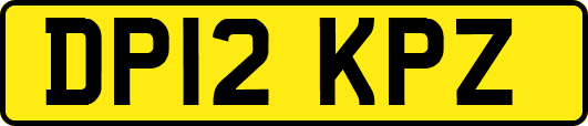 DP12KPZ